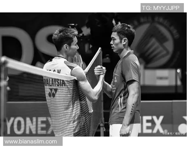 林丹与李宗伟在2013世锦赛的巅峰对决与羽坛传奇的精彩瞬间回顾